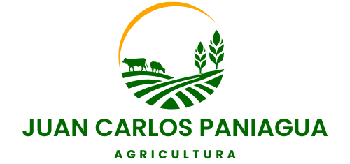 JUAN CARLOS PANIAGUA GARCIA